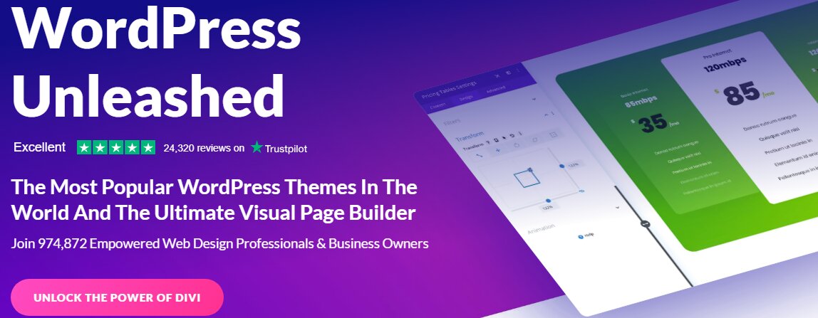 Divi Theme