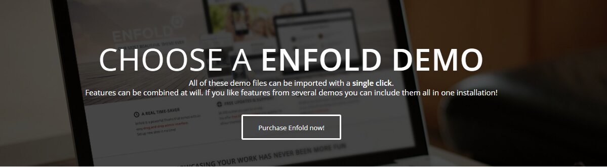 Enfold Theme