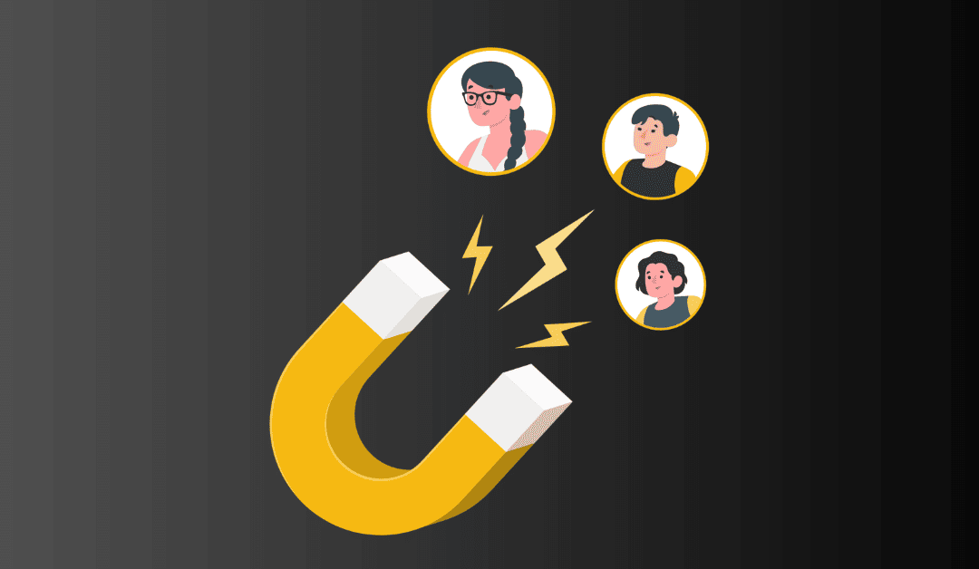 What is a Lead Magnet? 15 Proven Lead Magnet Ideas to Increase Subscribers.